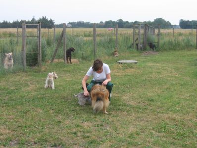 l&oslash;beg&aring;rde